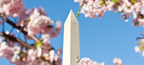 8th grade trip washington monument