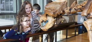 school trip museum