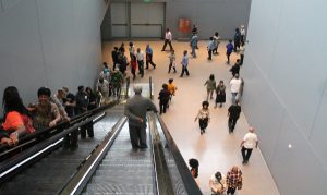 african american museum crowd